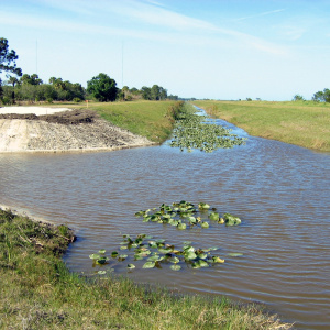 Peer Review and Safety Assurance Review for US Army Corps of Engineers