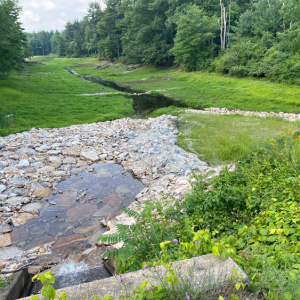 Wildlife Refuge Dam Decommissioning and Sediment Management