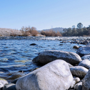 Yuba Water Agency Cybersecurity Assessment