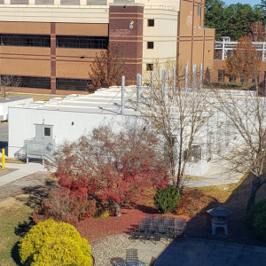 Pfizer Gene Therapy Lab Expansion and Renovation