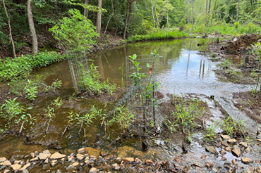 The completed Broad Creek stream restoration.