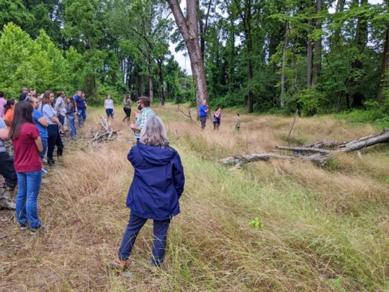 A group of Gannett Fleming employees and interns stand in an open field.