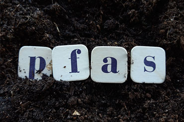 Four white tiles each contain one blue letter to spell PFAS. The tiles are laid on top of soil.